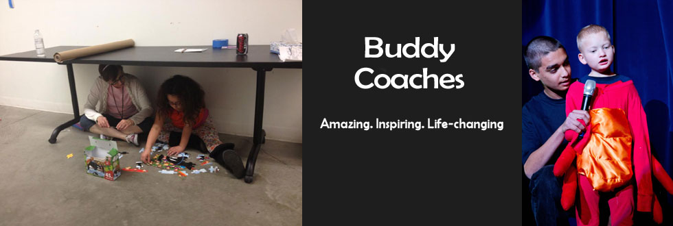 Buddy Coaches banner